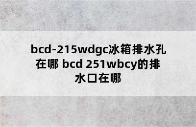 bcd-215wdgc冰箱排水孔在哪 bcd 251wbcy的排水口在哪